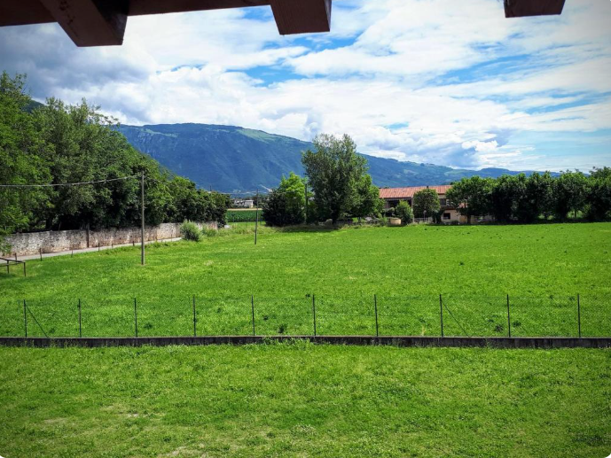 Agriturismo Cabrele - Photo 2