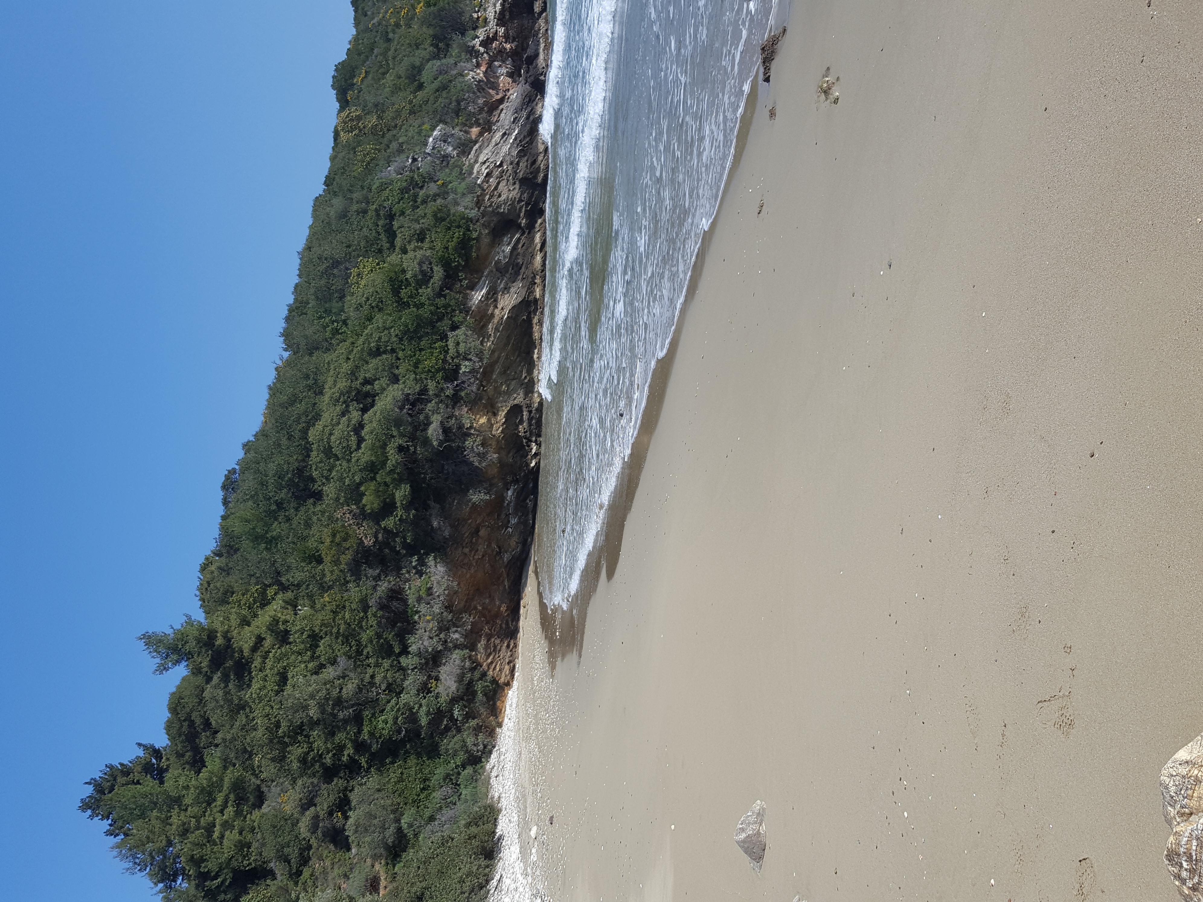 В собственности - Photo 5